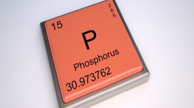 Phospho thành phần khoáng chất thuoctotso1