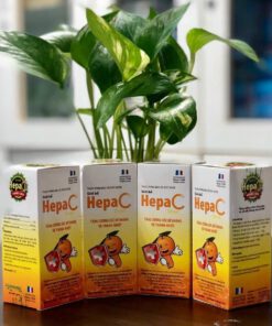 sirô tăng đề kháng Hepa C giúp bồi bổ thanh nhiệt lợi tiêu hóa thuoctotso1