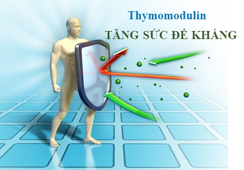 thymomodulin thành phần tăng sức đề kháng thuoctotso1