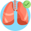 phổi icon thuoctotso1