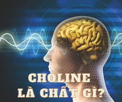 Choline thành phần bổ sung cho não thuoctotso1